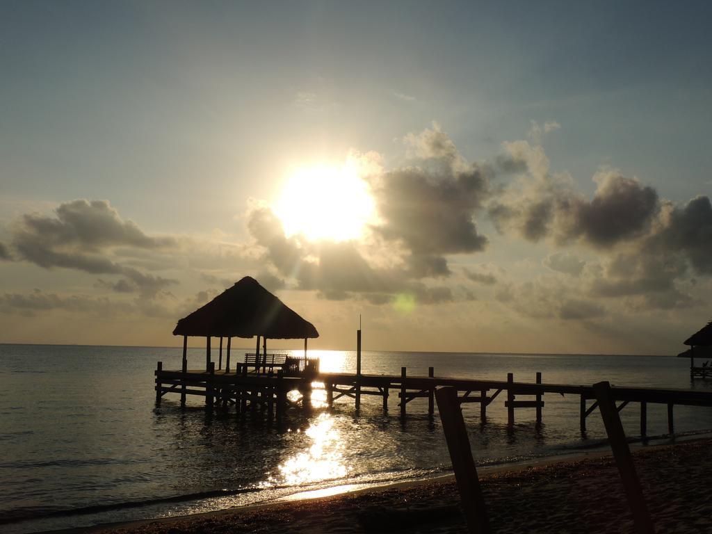 Parrot Cove Lodge ฮอปกินส์ ภายนอก รูปภาพ