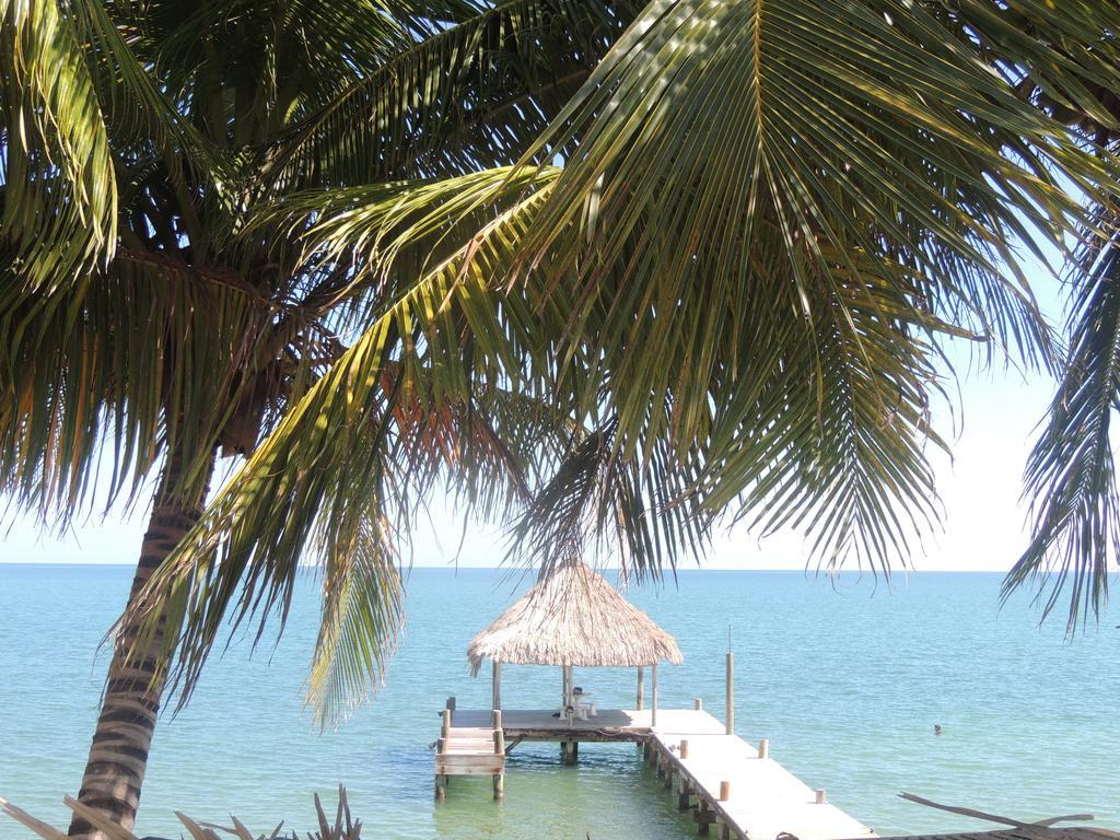Parrot Cove Lodge ฮอปกินส์ ภายนอก รูปภาพ